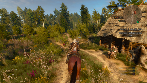 The Witcher 3 Wild Hunt